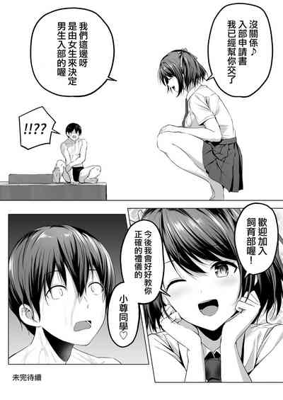 第48页图