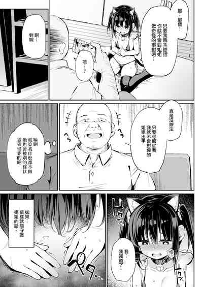 第20页图