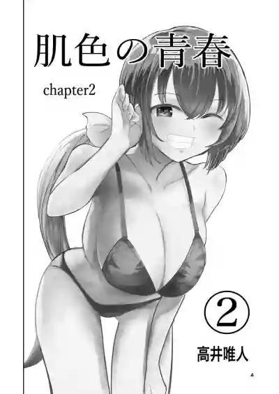 第4页图