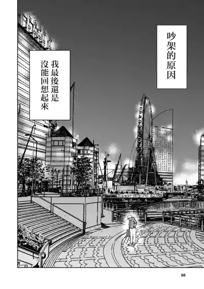第88页图