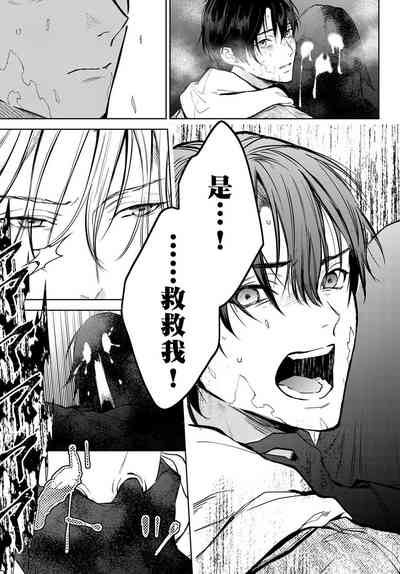 第48页图