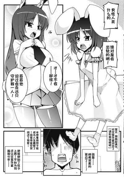 第4页图