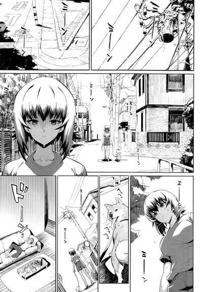 第36頁圖