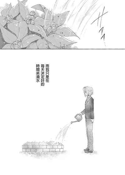 第44頁圖