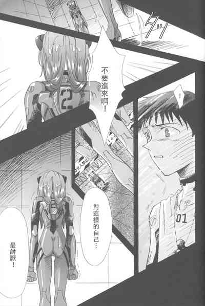 第204頁圖