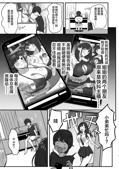 第4页图