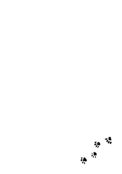 第304頁圖