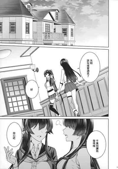 第4页图