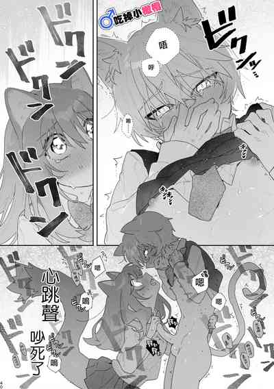 第40页图