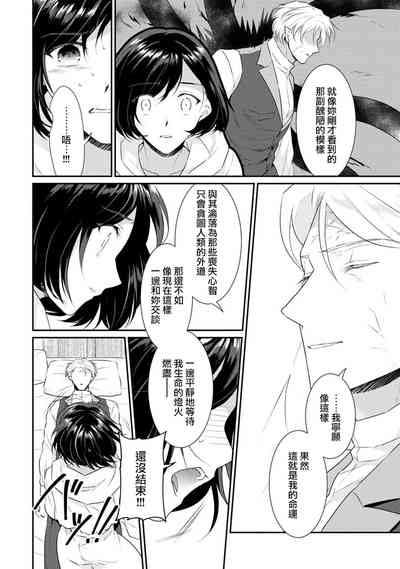 第204頁圖