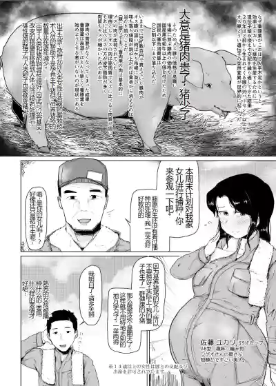 第4页图