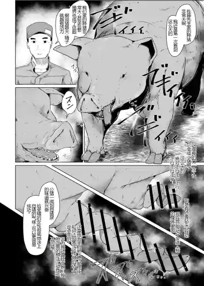 第8页图