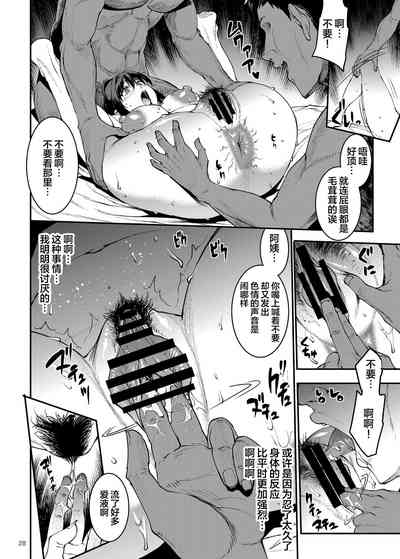 第28页图