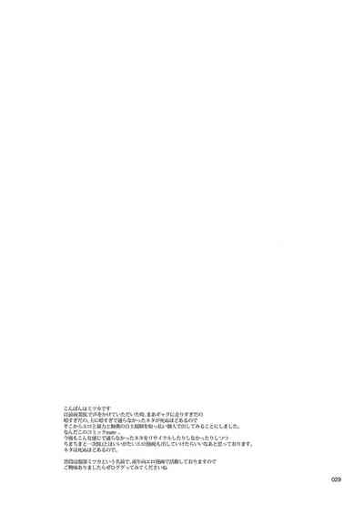 第28頁圖