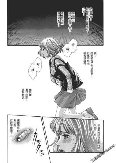 第28頁圖