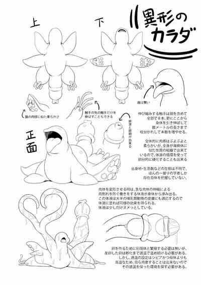 第28頁圖