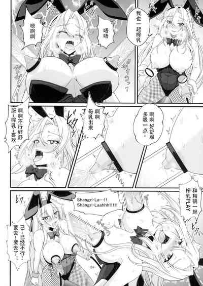 第24页图
