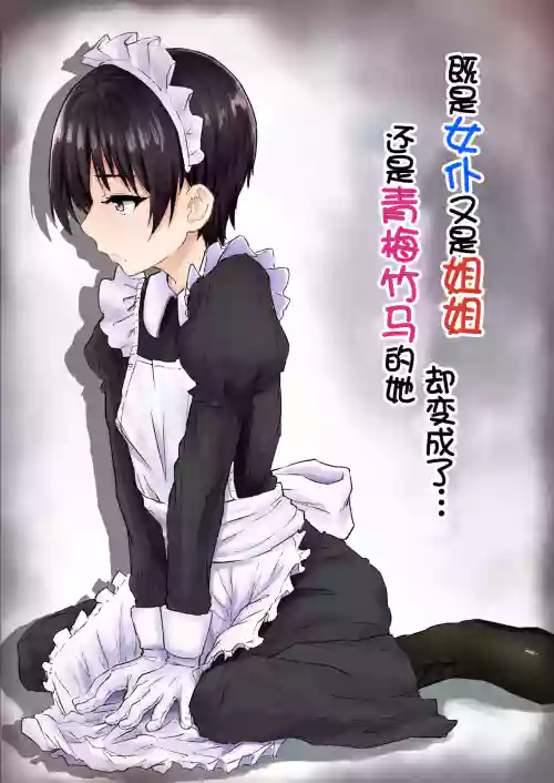 メイドで姉で幼なじみでそれから・・・圖