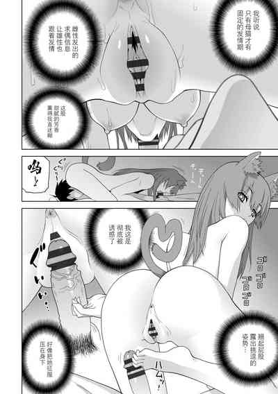 第156頁圖