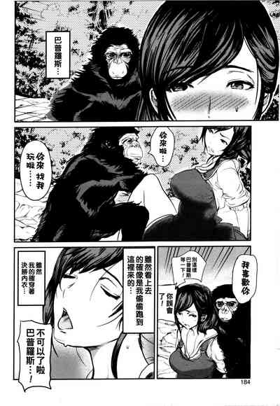 第8頁圖