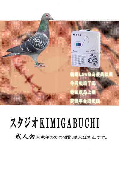 第24頁圖