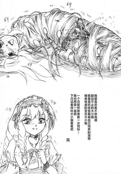第28頁圖