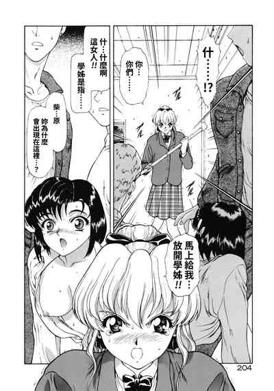 第36頁圖