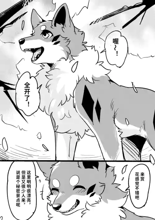 お花见穴场スポット | 秘密景点图