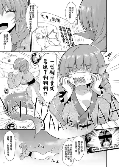第4页图