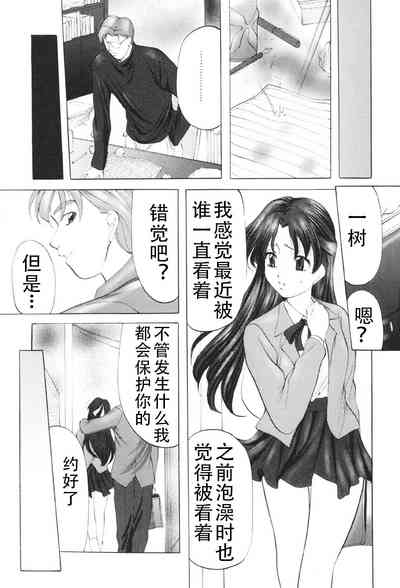 第8页图