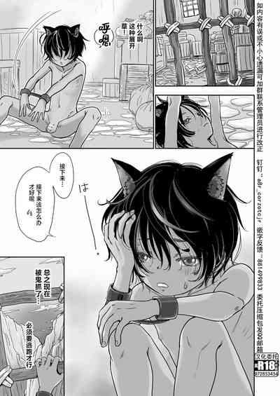 第12页图