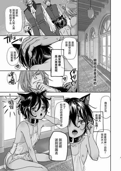 第8页图