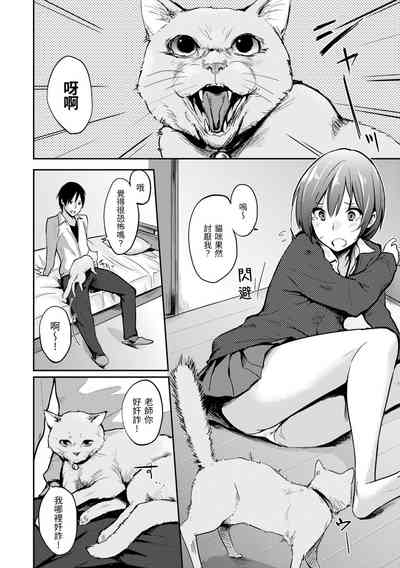第116頁圖