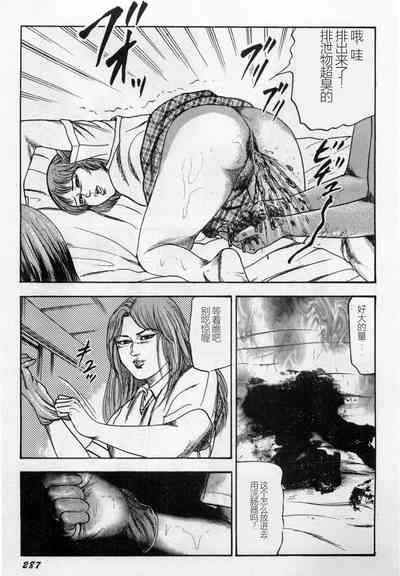 第288頁圖