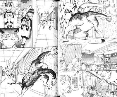 第20頁圖