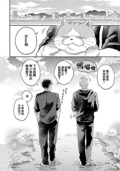 第156頁圖