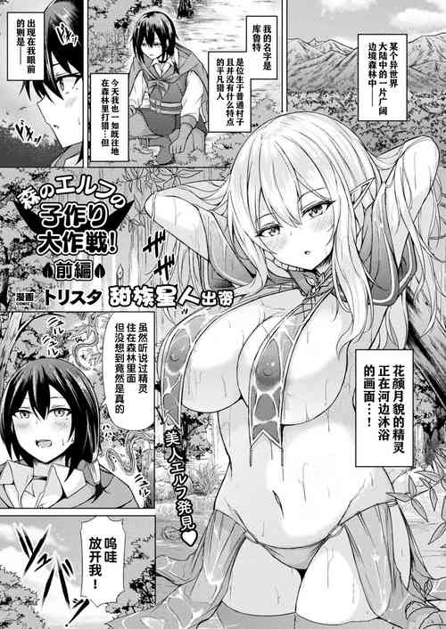 森のエルフの子作り大作戦! 前編圖