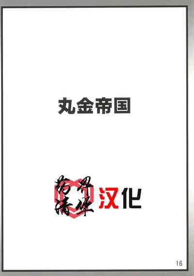 第16页图