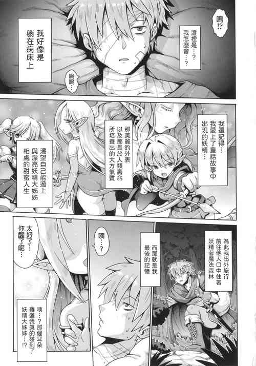 エルフと甘い性活 封面 - HaSM.cc