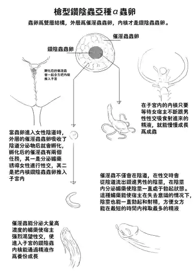 第24页图