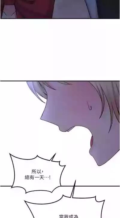 第300頁圖