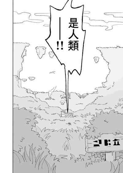 第8页图