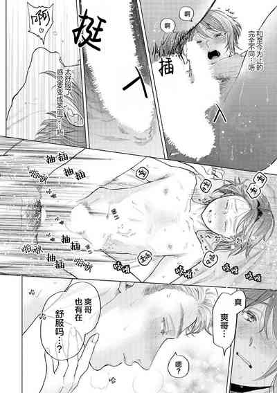第204頁圖
