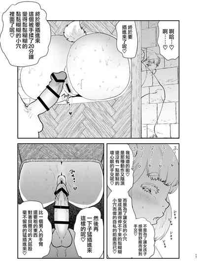 第16页图