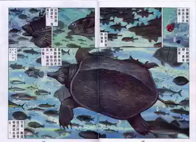 第268頁圖