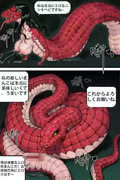 第12页图