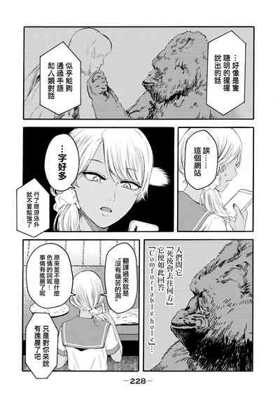 第416頁圖