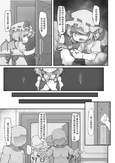 第8页图