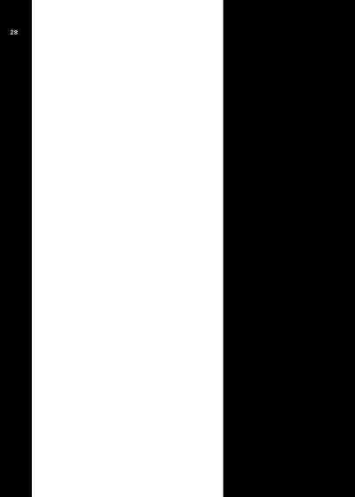 第28页图
