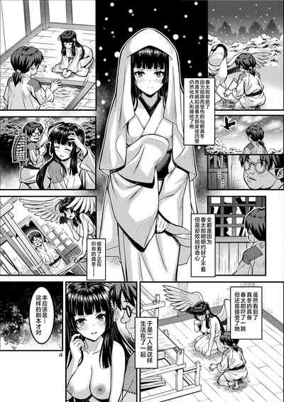 第4页图